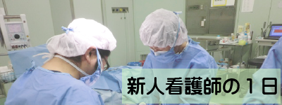 新人看護師の１日